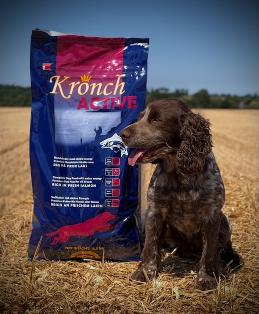 Kronch Active