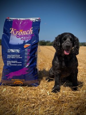 Kronch Optimal Puppy