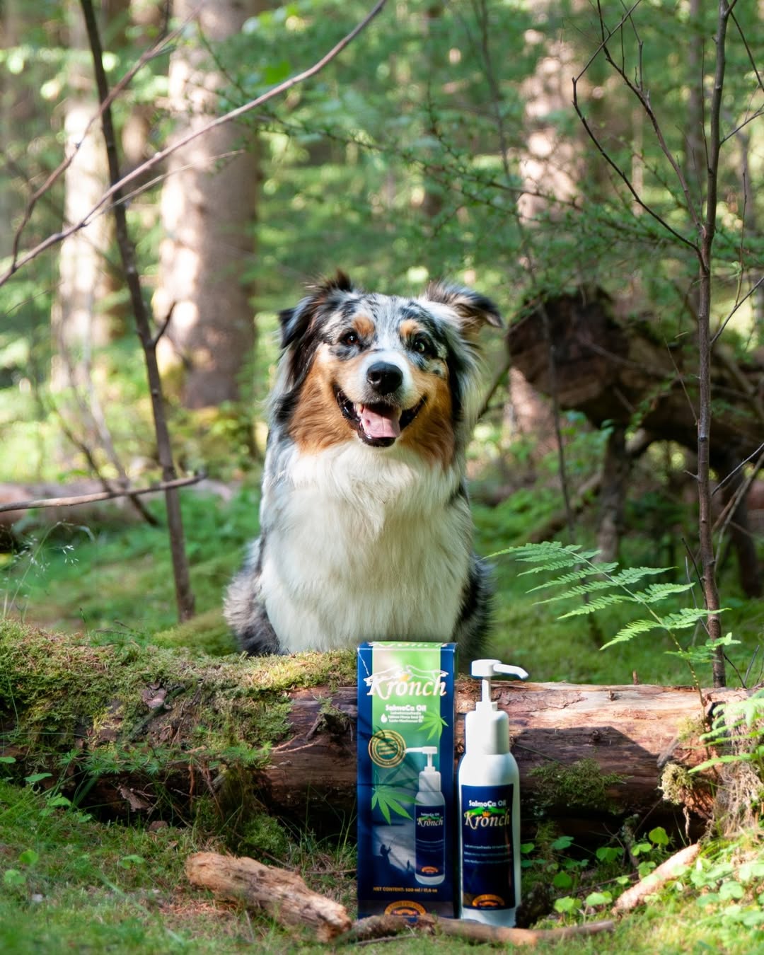 SalmoCa Hemp Seed Oil